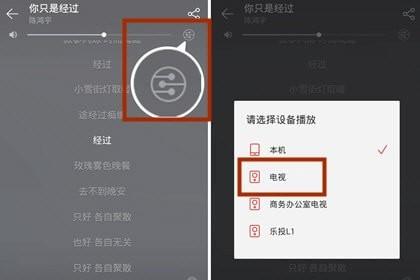 网易云音乐能不能投屏到电视，网易云音乐怎么投屏到电视上听