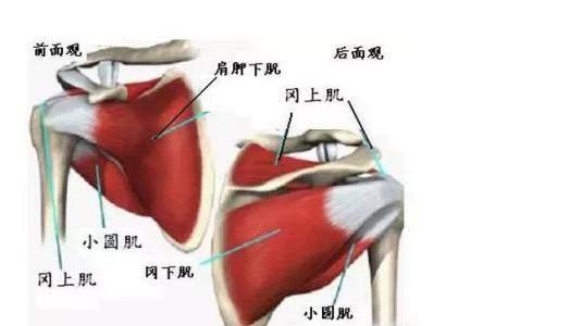 治肩周炎的最好土方法，巧治肩周炎方法你一定要知道