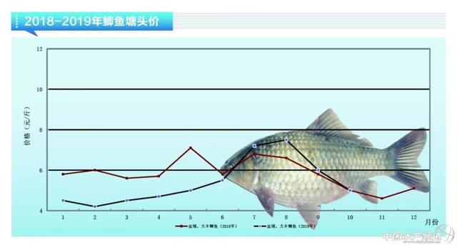 近期鱼价走势如何，鲈鱼稳定鮰鱼萎靡