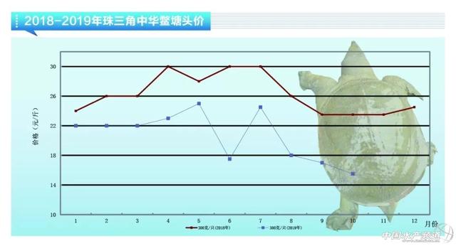 近期鱼价走势如何，鲈鱼稳定鮰鱼萎靡