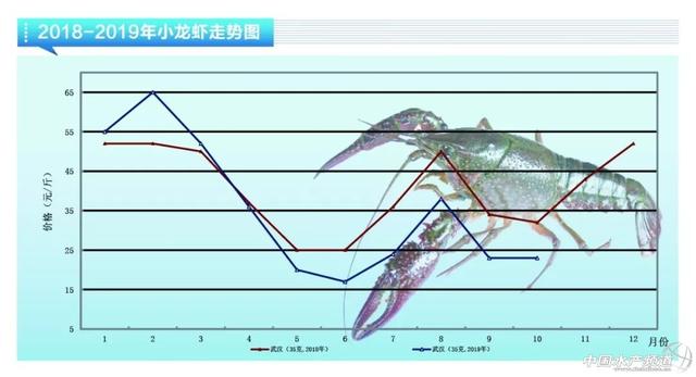 近期鱼价走势如何，鲈鱼稳定鮰鱼萎靡