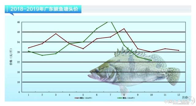 近期鱼价走势如何，鲈鱼稳定鮰鱼萎靡