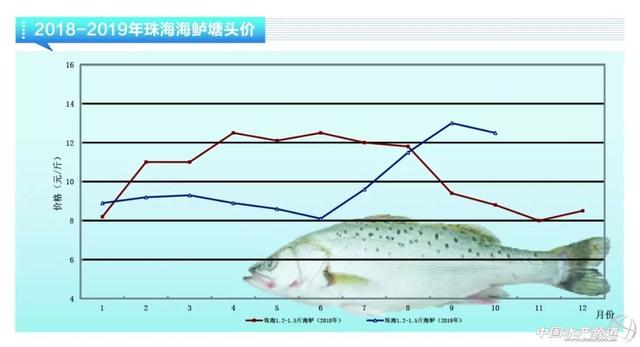 近期鱼价走势如何，鲈鱼稳定鮰鱼萎靡