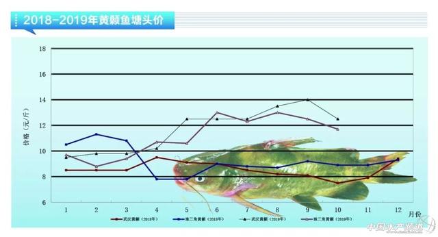 近期鱼价走势如何，鲈鱼稳定鮰鱼萎靡