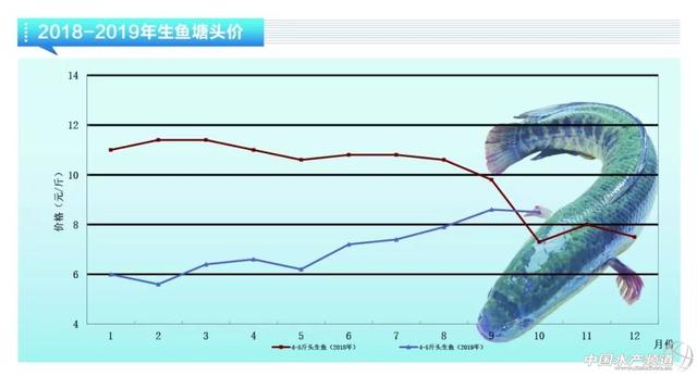 近期鱼价走势如何，鲈鱼稳定鮰鱼萎靡