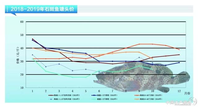 近期鱼价走势如何，鲈鱼稳定鮰鱼萎靡