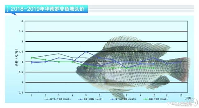 近期鱼价走势如何，鲈鱼稳定鮰鱼萎靡