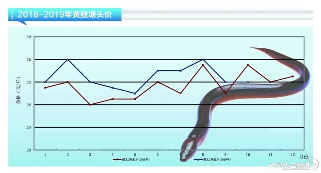 近期鱼价走势如何，鲈鱼稳定鮰鱼萎靡