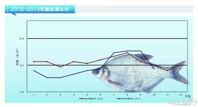 近期鱼价走势如何，鲈鱼稳定鮰鱼萎靡