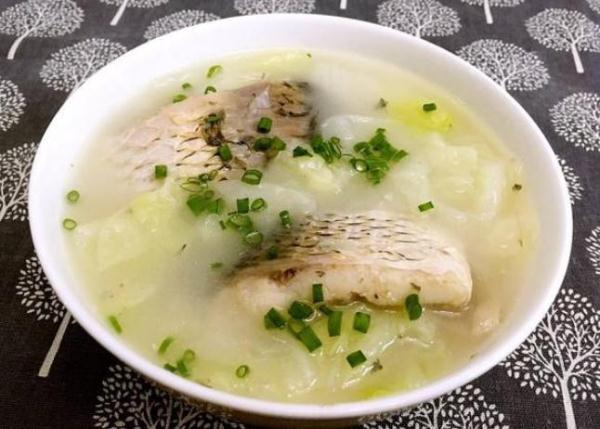肥胖胎(肥胖胎肪肝吃什么药好)