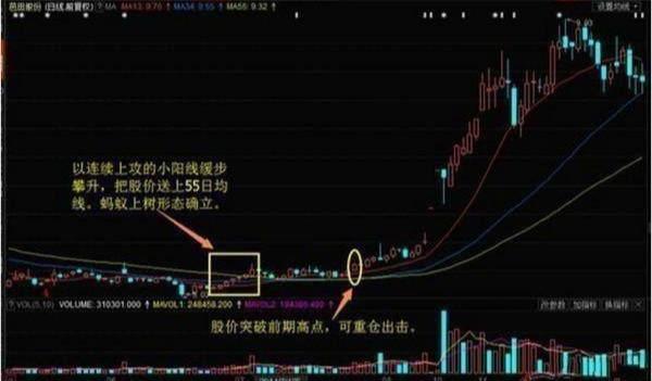 顶部放量买卖技法口诀，蚂蚁上树标志着主力又在开始重新吸货了