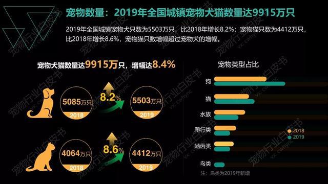 宠物市场前景分析，宠物行业现状与发展趋势（宠物保健市场潜力突显）