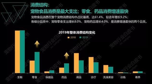 宠物市场前景分析，宠物行业现状与发展趋势（宠物保健市场潜力突显）