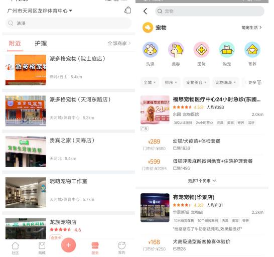 宠物市场前景分析，宠物行业现状与发展趋势（宠物保健市场潜力突显）
