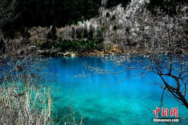 九寨沟旅游近日还开放吗，九寨沟重新对散客开放了