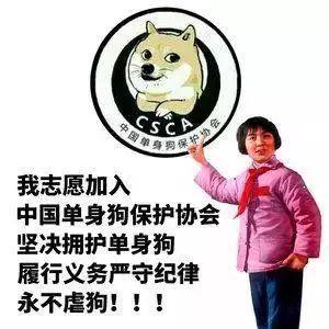 可爱小狗表情包，各种小奶狗表情包（表情包，好可爱的小狗狗啊）