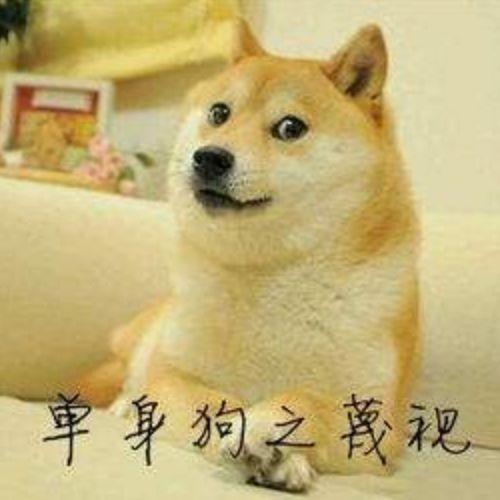 可爱小狗表情包，各种小奶狗表情包（表情包，好可爱的小狗狗啊）