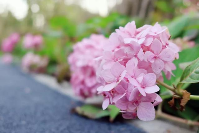 佳能g5相机评测，II测评拍女神