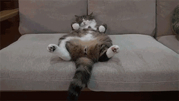 客厅皮沙发轻奢，一款精致的皮沙发能让客厅美得不像话