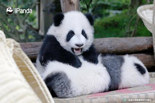 成贵高铁最快线路，从成贵高铁看四川交通之变丨我的这十年