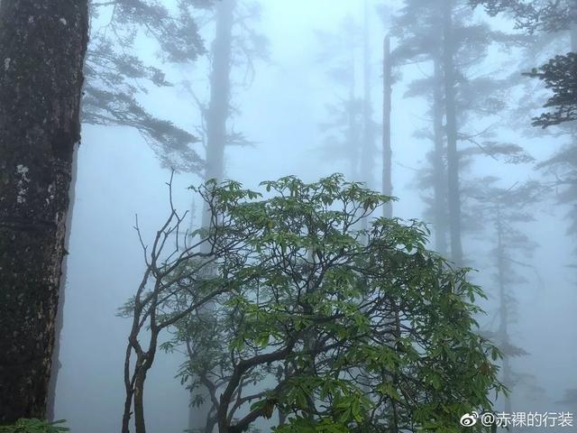 成贵高铁最快线路，从成贵高铁看四川交通之变丨我的这十年