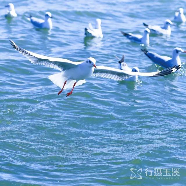 云南玉溪多冷，玉溪2022年12月16日天气预报