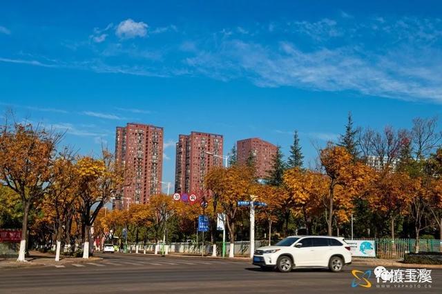 云南玉溪多冷，玉溪2022年12月16日天气预报