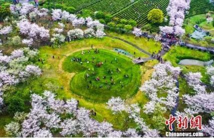 登上最美高铁领略大美风光，走坐上这趟高铁