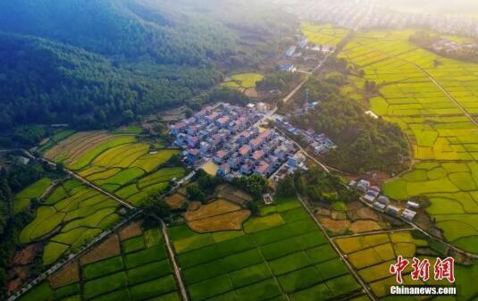 登上最美高铁领略大美风光，走坐上这趟高铁