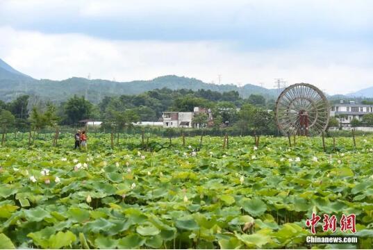 登上最美高铁领略大美风光，走坐上这趟高铁