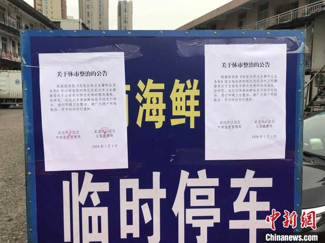 武汉华南海鲜批发市场现状，武汉华南海鲜批发市场休市整治
