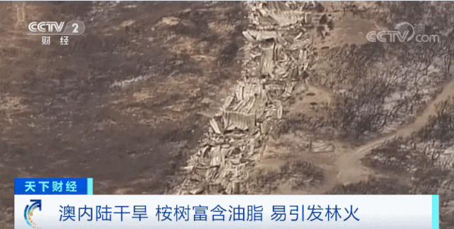 血色天空揭秘，舟山两现“血色天空”