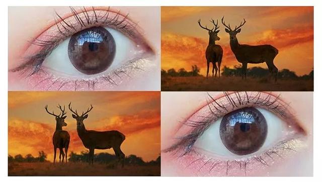 月抛年抛美瞳推荐测评种草，5款神仙美瞳分享