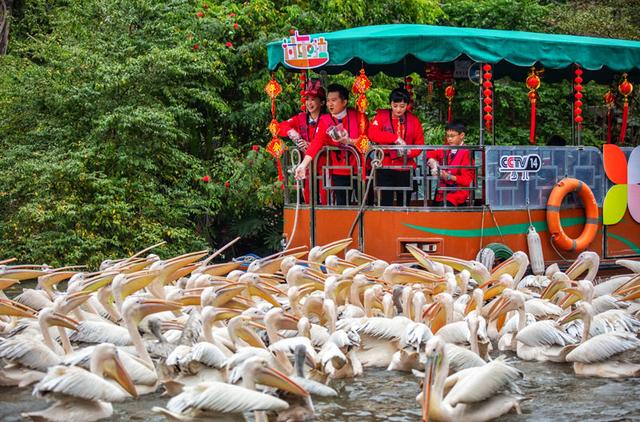 cctv14少儿频道过年啦，央视少儿频道过年啦欢乐来袭