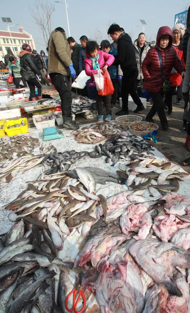 青岛大集时间表，青岛各大集赶集日期