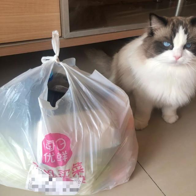 深圳哪里买菜新鲜又便宜，试试深圳这些物美价廉的批发市场
