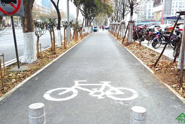 最常见的7种违章，新手开车很容易吃这七个罚单