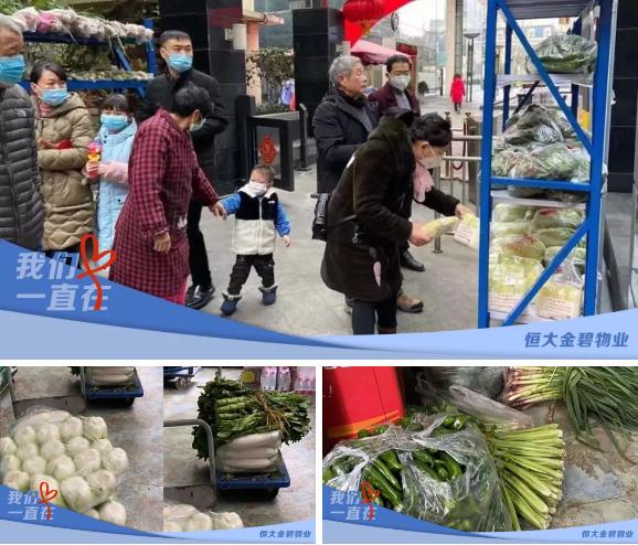 恒大物业与金碧物业区别，物业平台134亿存款被占调查结果出炉