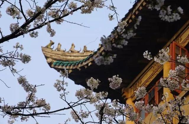 蝶恋花无题唯美诗句，背灯消遣可怜宵。一丝微涩酒难调
