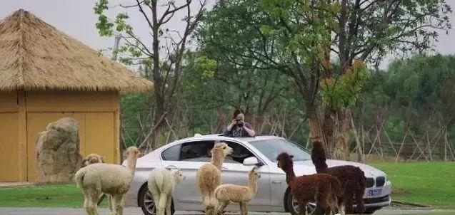 常州有什么好玩的地方旅游景点，常州十大必去景点