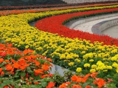 常州有什么好玩的地方旅游景点，常州十大必去景点