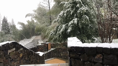 杭州还会再下雪吗，杭州可能又要下雪了