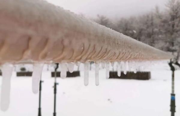 杭州还会再下雪吗，杭州可能又要下雪了