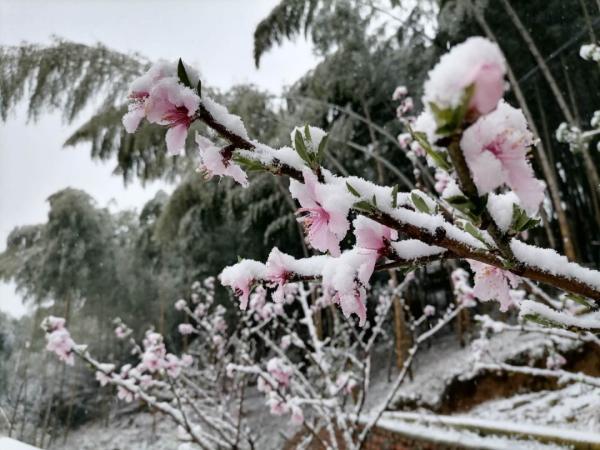 杭州还会再下雪吗，杭州可能又要下雪了