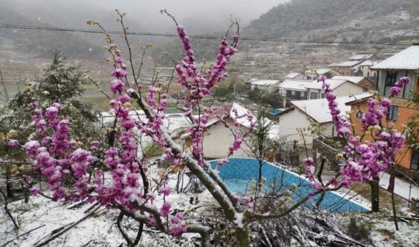 杭州还会再下雪吗，杭州可能又要下雪了