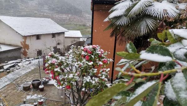 杭州还会再下雪吗，杭州可能又要下雪了