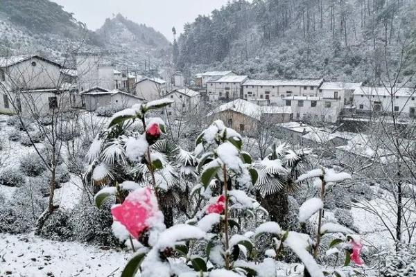 杭州还会再下雪吗，杭州可能又要下雪了