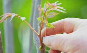 乐山生活指南，乐山人的幸福周末