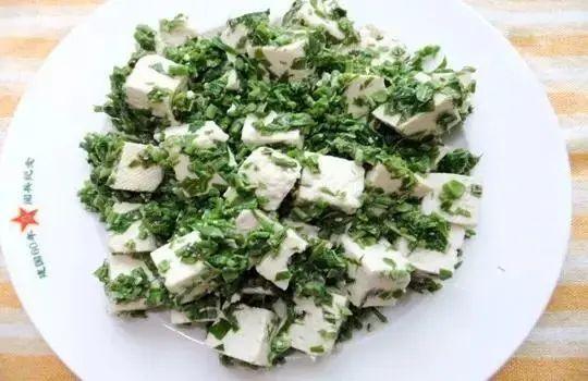 清明时节雨纷纷不负春光，清明节气燕子来时新社