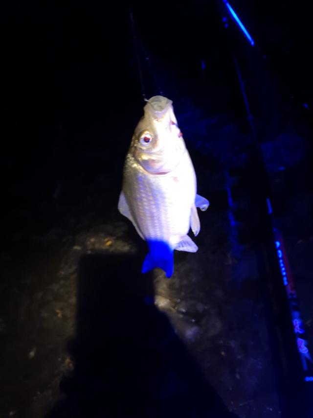 冬天夜钓最佳路线图，首场夜钓京城热门钓点